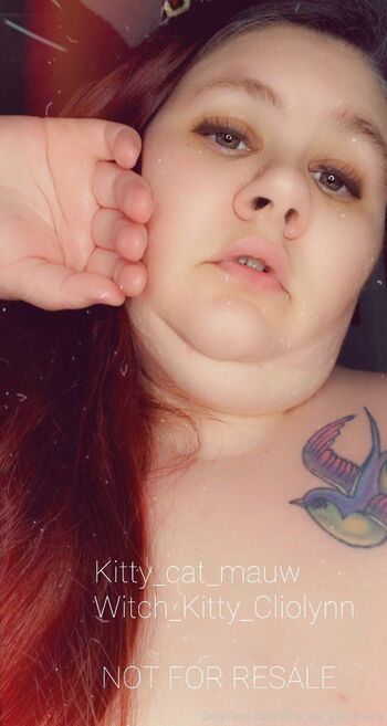Kitty SSBBW Gir / kitty_cat_girl_mauw nude photo #30