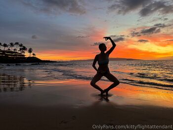 Kitty the Flight Attendan / kittyflightattendant nude photo #5