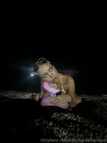 Kitty the Flight Attendan / kittyflightattendant nude photo #7