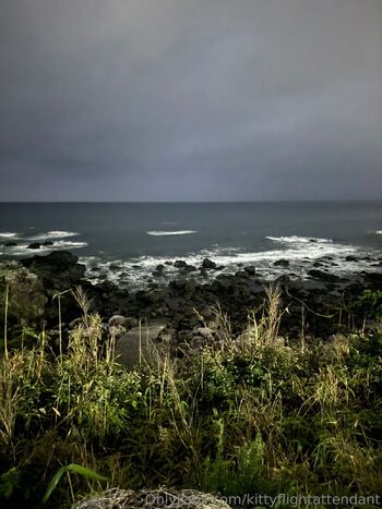 Kitty the Flight Attendan / kittyflightattendant nude photo #10