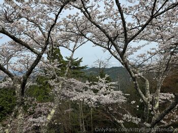 Kitty the Flight Attendan / kittyflightattendant nude photo #22