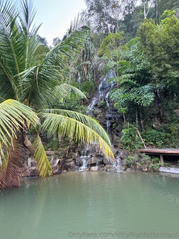 Kitty the Flight Attendan / kittyflightattendant nude photo #32