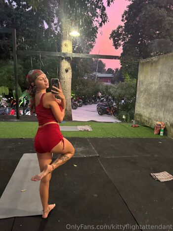 Kitty the Flight Attendan / kittyflightattendant nude photo #33