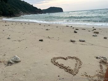 kittyflightattendant