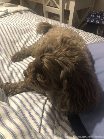 HooYah / kiwifree nude photo #12