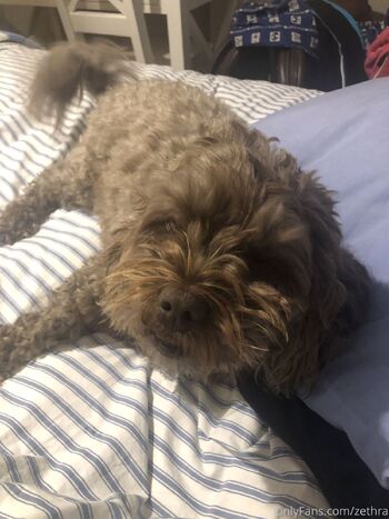 HooYah / kiwifree nude photo #13