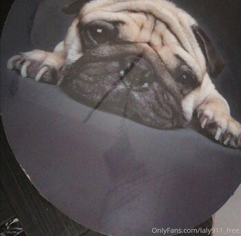 Bora Fre / laly911_free nude photo #14