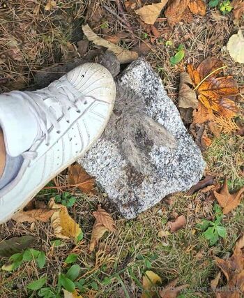 Lana von Winter / lana_von_winter nude photo #1