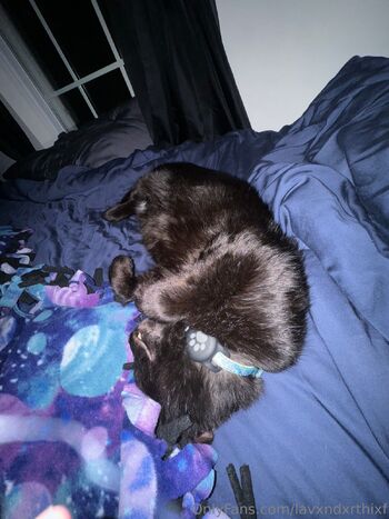 blue / lavxndxrthixf nude photo #20