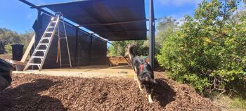 Lea and Bea / leaandbear nude photo #12