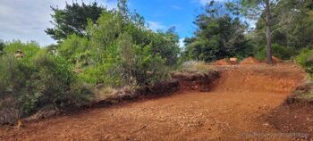 Lea and Bea / leaandbear nude photo #13