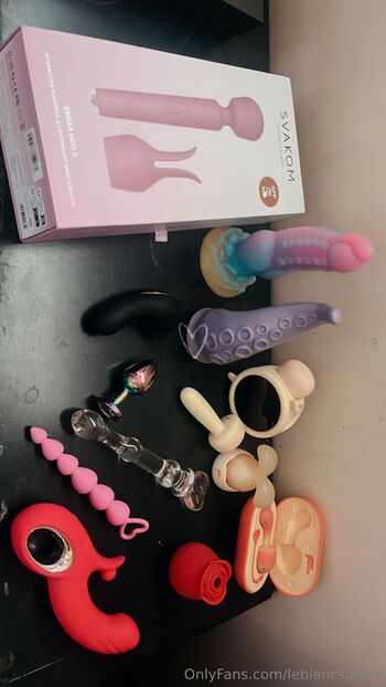 Leblanc Sui / leblancfree nude photo #14