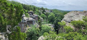 AJ Bu / lewdajbug / lewd_bug nude photo #6