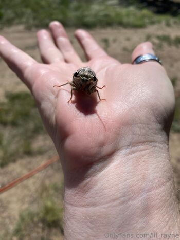 Naughty Redhead / lil_rayne nude photo #15