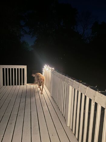 Lilrosiedol / lilrosiedoll nude photo #2