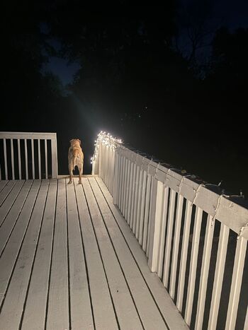 Lilrosiedol / lilrosiedoll nude photo #3