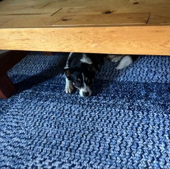 Lilrosiedol / lilrosiedoll nude photo #17