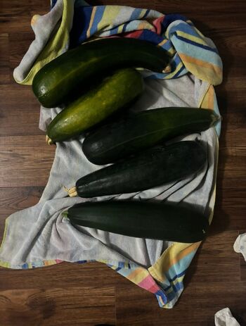 Lilrosiedol / lilrosiedoll nude photo #28