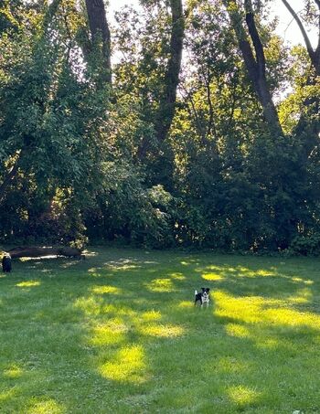 Lilrosiedol / lilrosiedoll nude photo #35