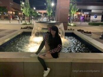 u12397147 / lilydarro nude photo #17