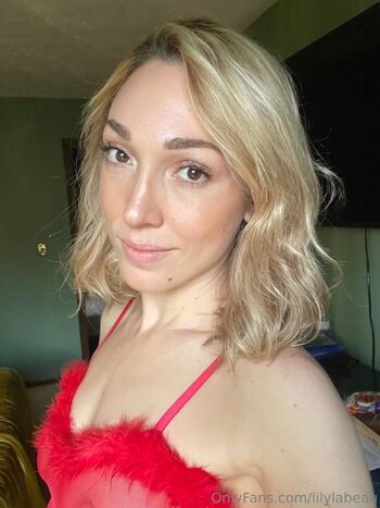 OnlyFans / lilylabeau nude photo #18