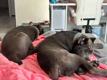 Lina Lumshor / linalumshore nude photo #1