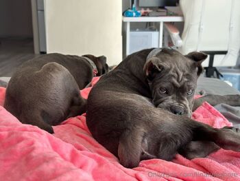 Lina Lumshor / linalumshore nude photo #2