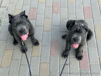 Lina Lumshor / linalumshore nude photo #4