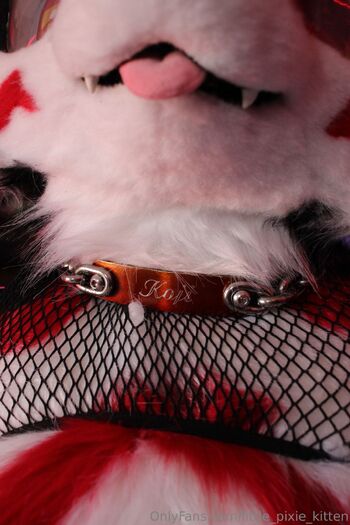 lilpixiekitte / little_pixie_kitten nude photo #39