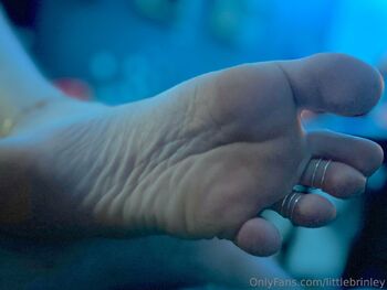 littlebrinbe / littlebrinley / littlebrinbee nude photo #1