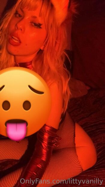 𝐿𝒾𝓉𝓉𝓎 𝒱𝒶𝓃𝒾𝓁𝓁 / littyvanilly nude photo #14