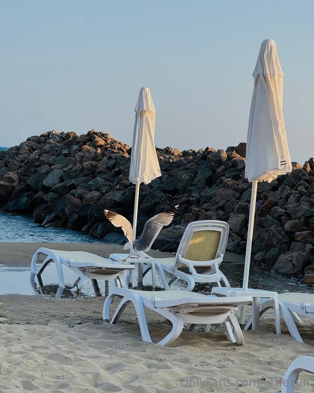 PETITE SUN / llttlesun nude photo #12