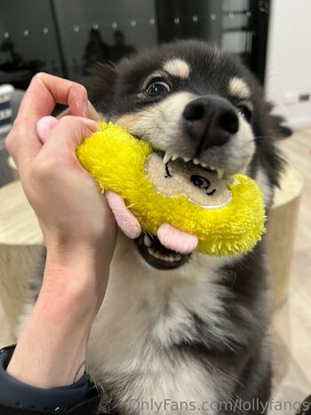 Lollyfang / lollyfangs nude photo #4