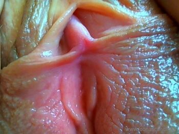 Loona Sexologis / loonanyc nude photo #17