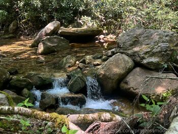 Fae / lostfaeskates nude photo #29