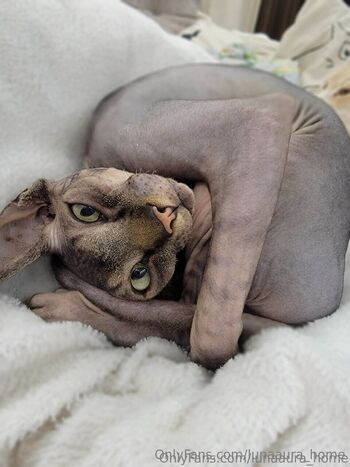 Lunaaur / lunaaura_home nude photo #9