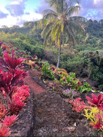 Lyri / lyric_in_my_head nude photo #8