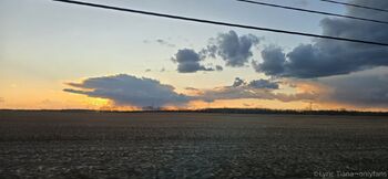 Lyric Tiana Top Creator / lyrictiana nude photo #22