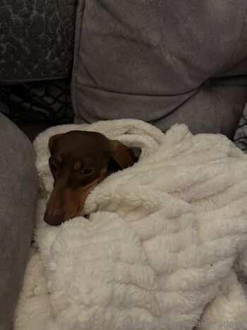 Maiii 3 / maimeadows nude photo #2