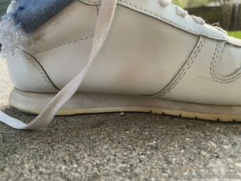 Maria Me / mariamewfree nude photo #17