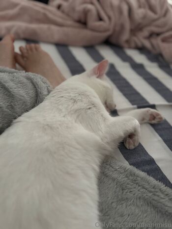 mariimisu / mariimisu nude photo #9