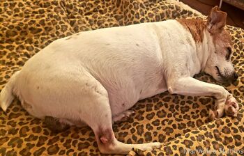 Marvelle / marvellee nude photo #34