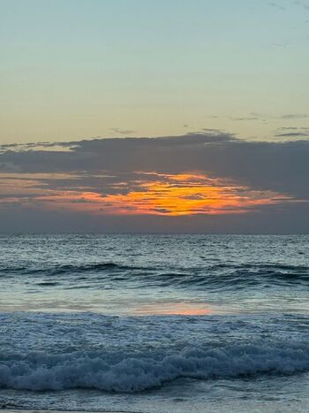 Medus / medusa4prsdnt nude photo #13