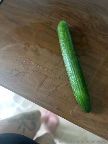 Megan66VI / megan66vip nude photo #12