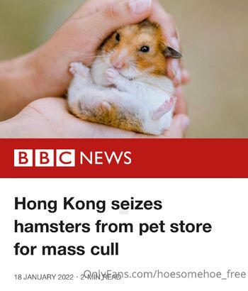 Princess Mels PREVIEW accoun / melissa_cho_chang_free / melissa._.young / vet.biologist.mel.cheung nude photo #36