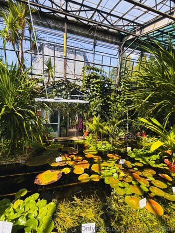 Meliss / melissa_wilson nude photo #12