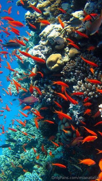 Mia Natali / mianataliah nude photo #18