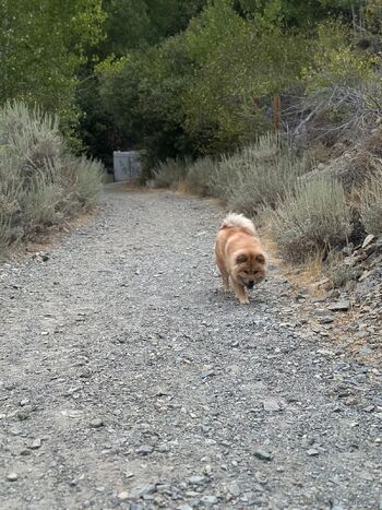 MiaRos / miarosexxx / miarose5151 nude photo #15