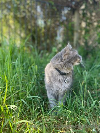 Maddie the Tiny Baddi / mightytinybaddie nude photo #11