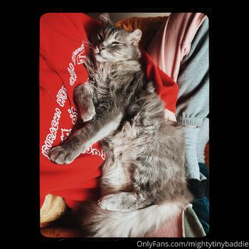 Maddie the Tiny Baddi / mightytinybaddie nude photo #16